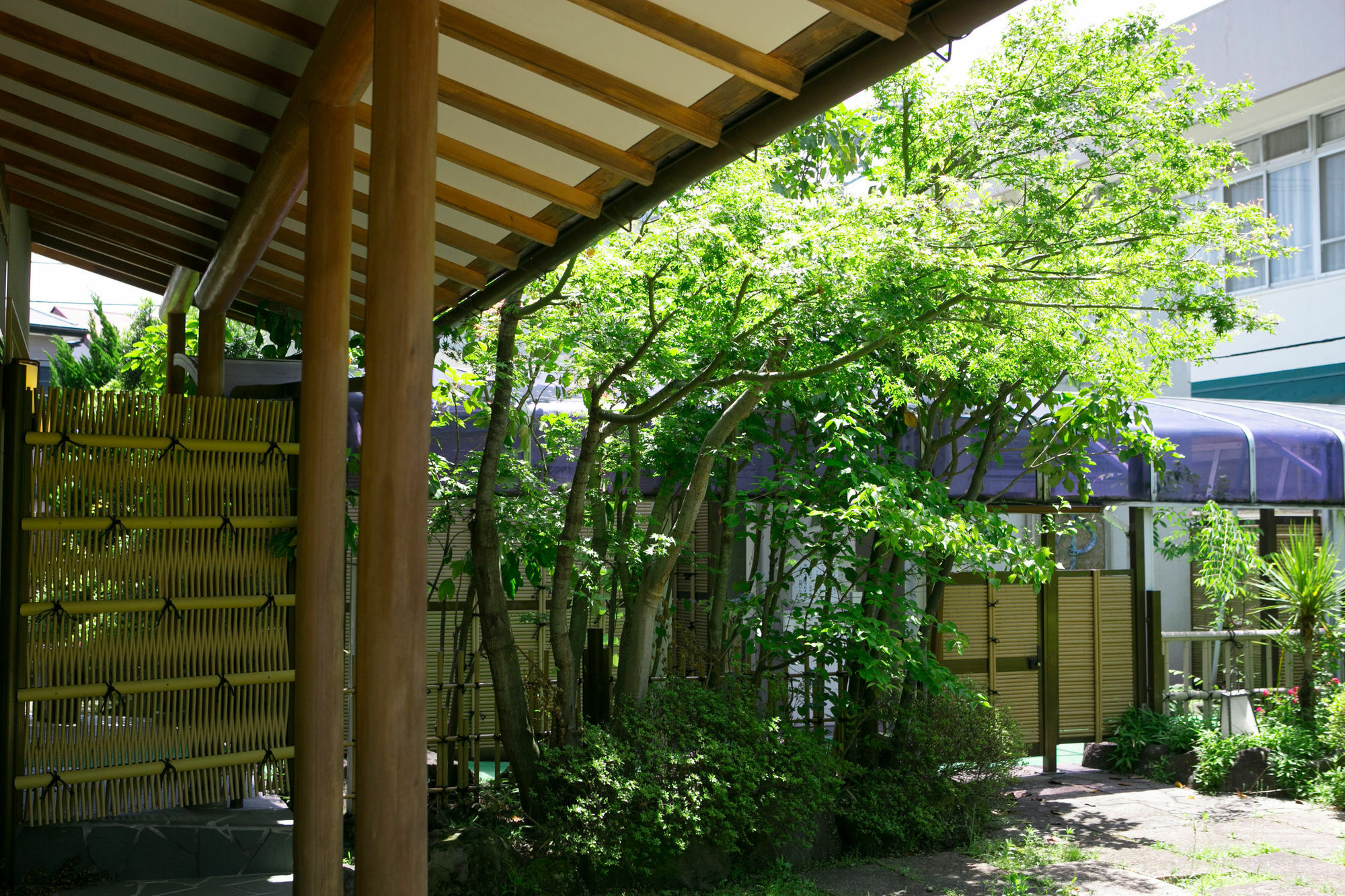Yugawara-Onsen Manyoso Hotel Bagian luar foto