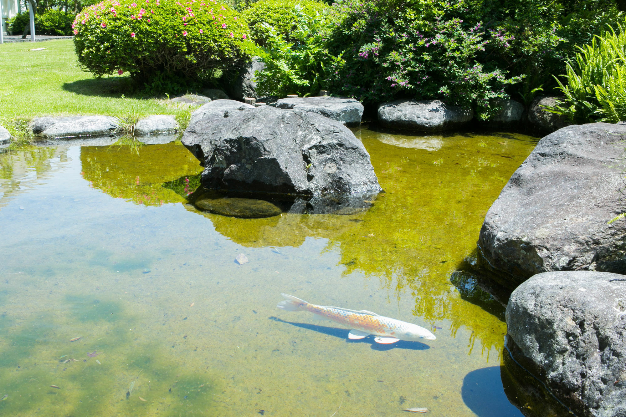 Yugawara-Onsen Manyoso Hotel Bagian luar foto